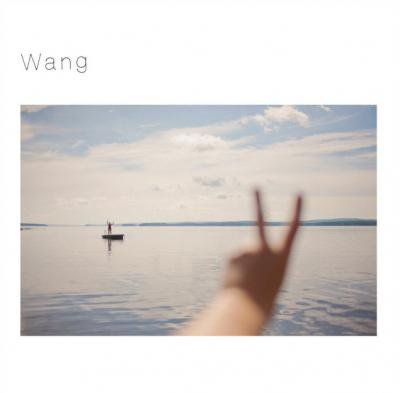  Wang (CD/JPN/ POP)