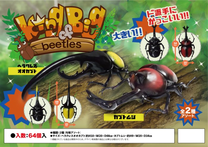 King of Big beetles カブトムシ・ヘラクレスオオカブト, - 中部商事の仕入サイト　for　SMARTPHONE