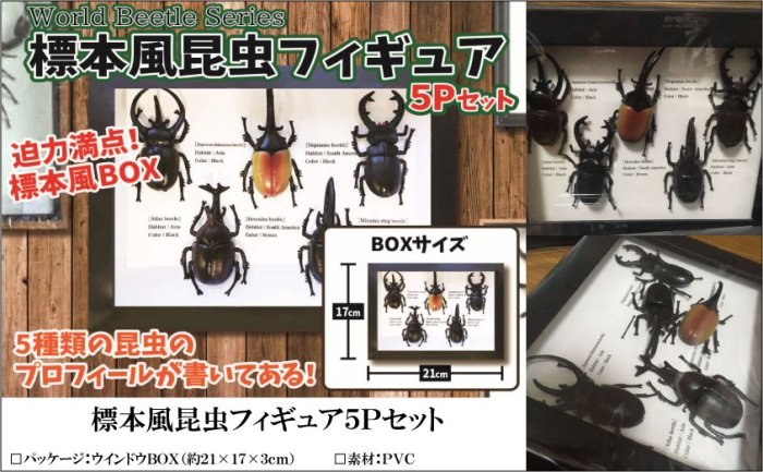 標本風昆虫フィギュア５Ｐセット, - 中部商事の仕入サイト　for　SMARTPHONE