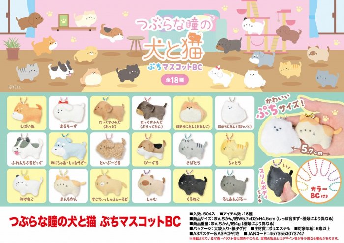 つぶらな瞳の犬と猫 ぷちマスコットＢＣ - 中部商事の仕入サイト for