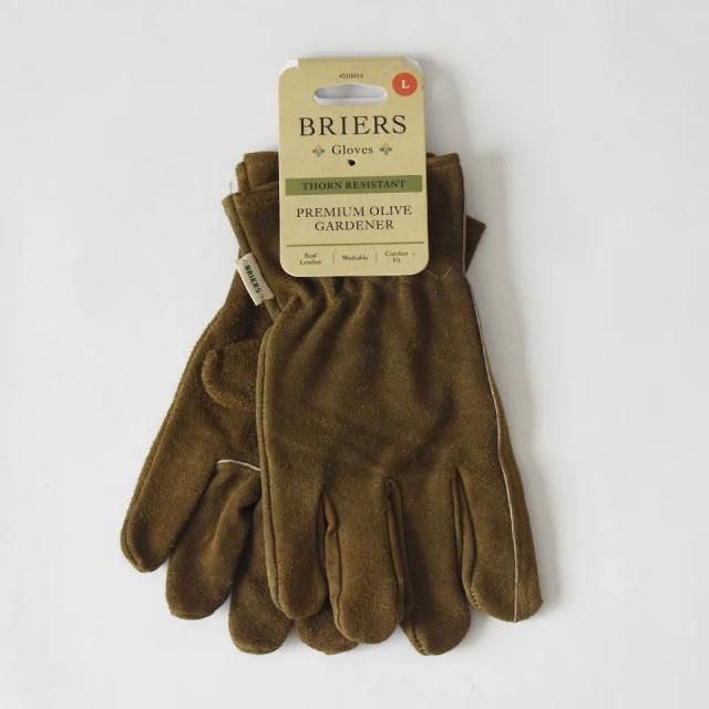 Briersʥ֥ꥢ˥֡ʼޡ 