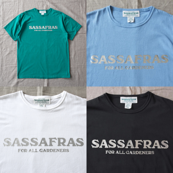 Sassafrasʥե饹SASSAFRAS T 1/2ʥСץȡ