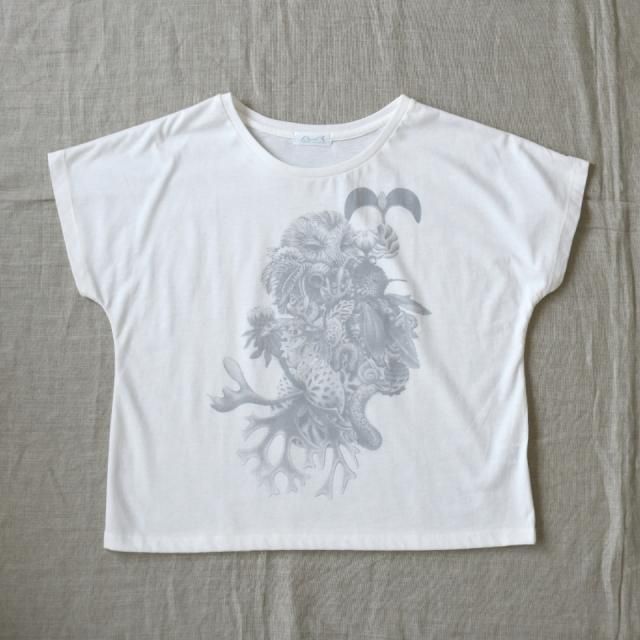 <img class='new_mark_img1' src='https://img.shop-pro.jp/img/new/icons24.gif' style='border:none;display:inline;margin:0px;padding:0px;width:auto;' />ڥ辰50%OFF֤ۡϤäѤǥϥåԡפĺޤvol.2 ǡɥޥT եۥ磻