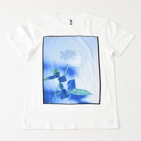 WORKS & LABO.ʥܡROSE ۥ磻ȡʼ̿for a little beauty