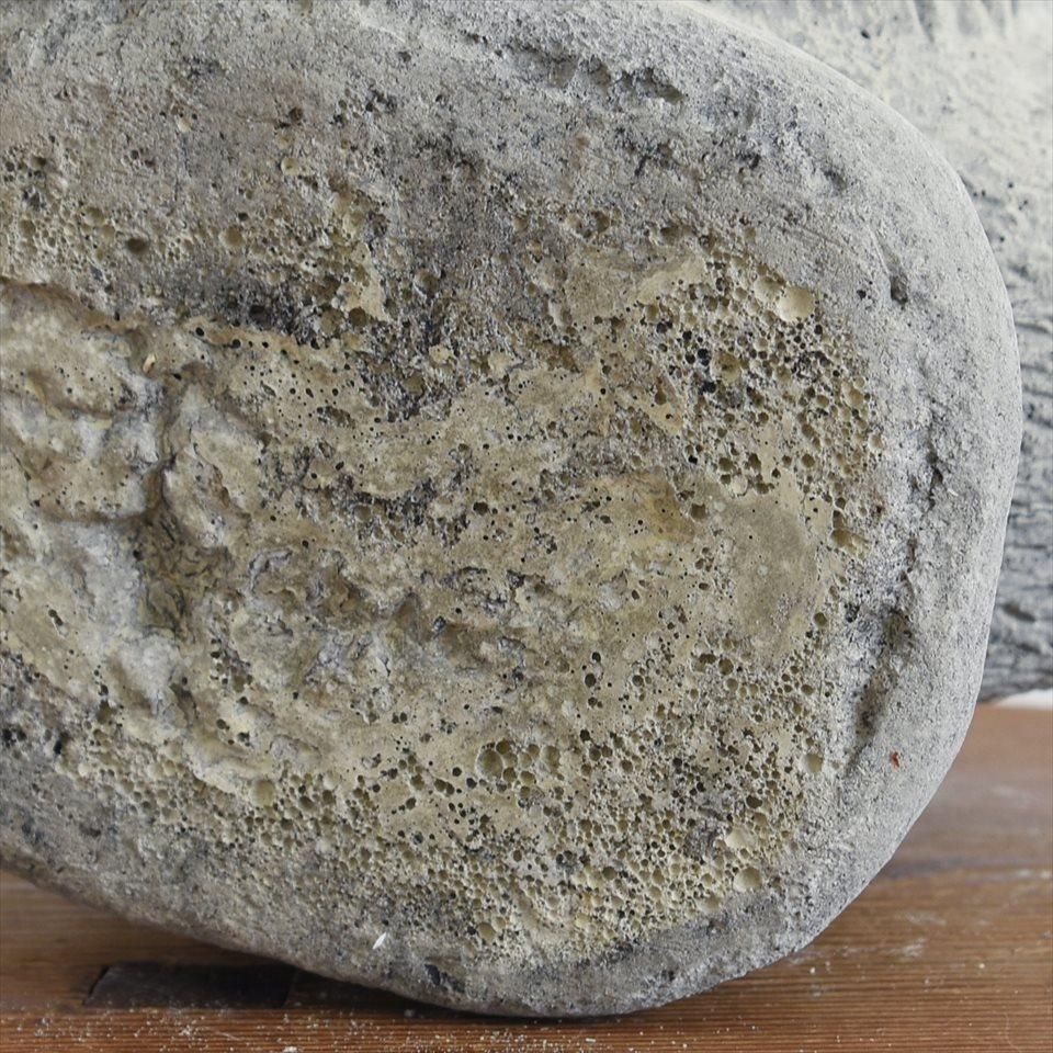 73922セール現品限　外国切手　イギリス発行動物他4種揃ネズミ植物 恐竜 - 英国海外郵趣