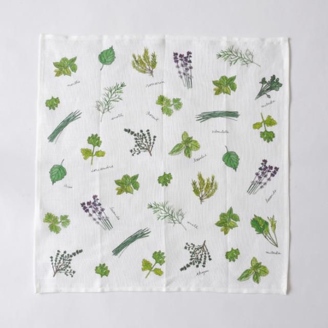 �ե��Isabelle Boinot�ʥ����٥롦�ܥ�Ρ˥ϥ󥫥��ʥۥ磻��/��ͥ�˥ϡ���