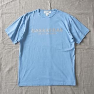 Sassafrasʥե饹SASSAFRAS T 1/2 åʥСץȡ