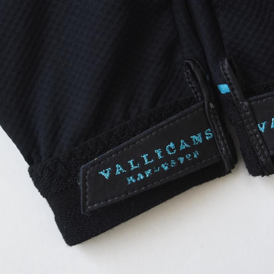 Harvesta! HABICOL（ハーベスタ！ハビコル）GRIPSWANY × VALLICANS