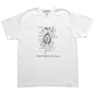 SASSAFRAS（ササフラス）Plant Sexual Systems T-shirt（Tシャツ）ホワイト