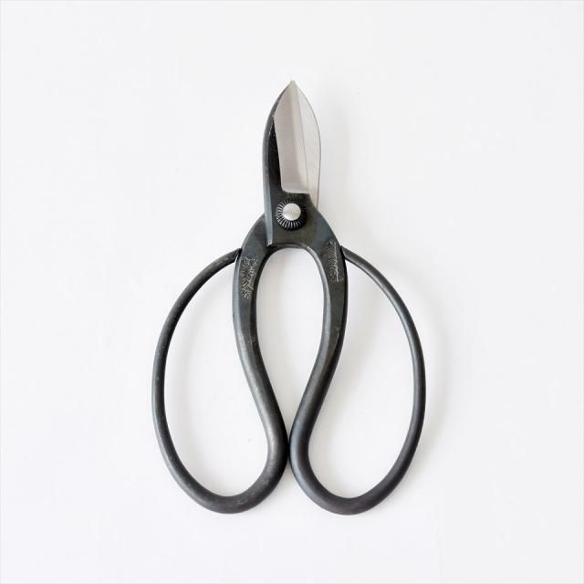 ʪʤȤޤϤΡˤ 165mm