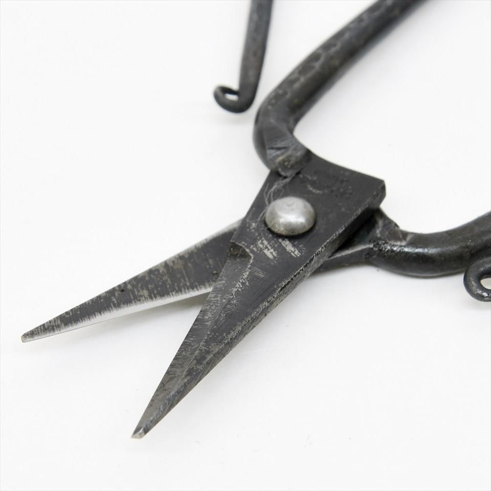 なんでも鑑定団よりも驚き！ FLOWER Tajika（タジカ）iron SHEARS（花鋏） Lifetime - その他