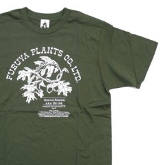 TACOMA FUJI RECORDS（タコマフジレコード）FURUYA PLANTS グリーン