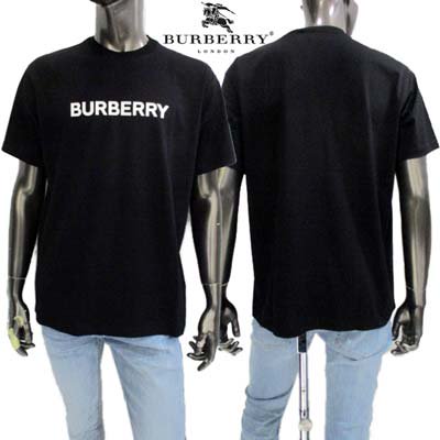 СХ꡼ BURBERRY ȾµT   HARRISTON ϥꥹȥ Ʊǥǿ㤤ͭ եȥ֥ɥꥷ硼ȥ꡼֥åȥT  8084233 A1189<img class='new_mark_img2' src='https://img.shop-pro.jp/img/new/icons2.gif' style='border:none;display:inline;margin:0px;padding:0px;width:auto;' />