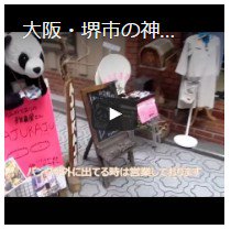 大阪・堺市・雑貨屋アジュカジュの店内動画