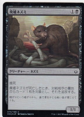 MTG-HOU-075 廃墟ネズミ/Ruin Rat【日本語版FOIL】 - 【カードショップ　アヴァロン】