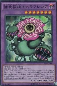遊戯王 第9期シリーズ カードショップ アヴァロン 遊戯王 第9期シリーズ カードショップ アヴァロン