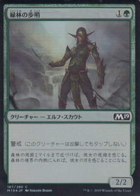 MTG-M19-187 緑林の歩哨/Greenwood Sentinel【日本語版FOIL