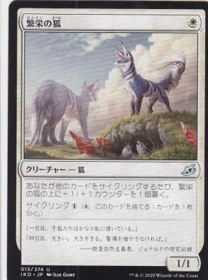 MTG IKO-013 繁栄の狐/Flourishing Fox - 【カードショップ アヴァロン】