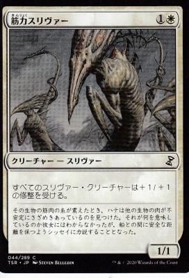 日本語版【時のらせん リマスター】新品未開封 1BOX TSR-044 筋力スリヴァー/Sinew Sliver - 【カードショップ アヴァロン】