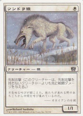 MTG-8ED-054 ツンドラ狼/Tundra Wolves【日本語版】(傷みあり) - 【カードショップ　アヴァロン】