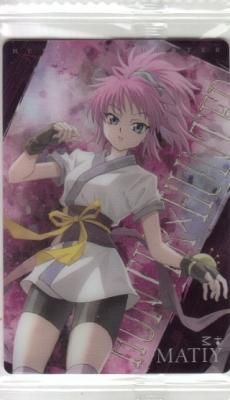 11N マチ】HUNTER×HUNTERメタリックプラカード【2666268】【未