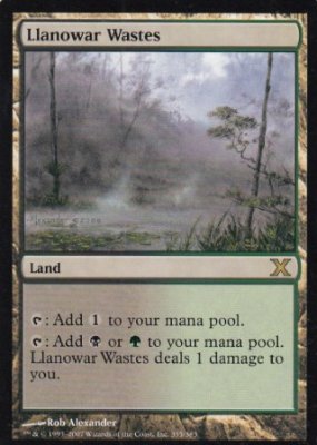 MTG-10ED-355 Llanowar Wastes/ラノワールの荒原【英語版】(若干傷み) - 【カードショップ　アヴァロン】