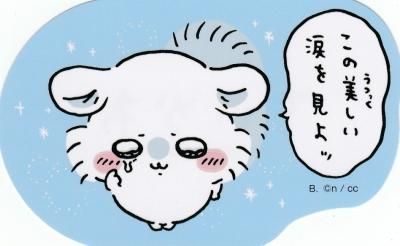 60.モモンガ(この美しい涙を見よッ)】ちいかわ ダイカット