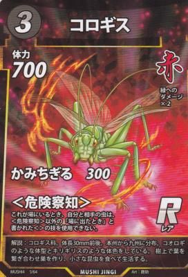 蟲神器 MUSHI4 第4弾 第四弾】まさか蟲神器の最新版からあの虫が!! - YouTube