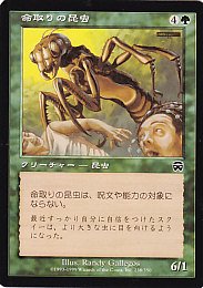 MTG MMQ-238 命取りの昆虫/Deadly Insect【日本語版】(傷みあり) - 【カードショップ　アヴァロン】