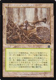 MTG MMQ-319 ヒッコリーの植林地/Hickory Woodlot【日本語版】(傷みあり) - 【カードショップ　アヴァロン】