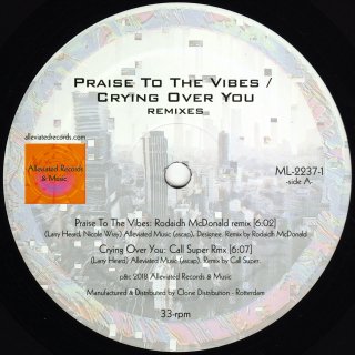 Mr. Fingers - Praise To The Vibes / Crying Over You (Remixes)