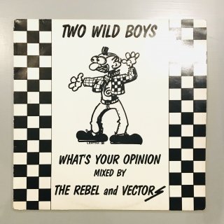 Two Wild Boys - What's Your Opinion