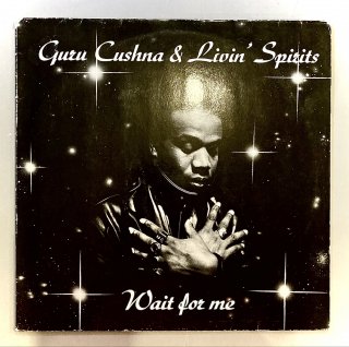 Guru Cushna & Livin' Spirits - Wait For Me