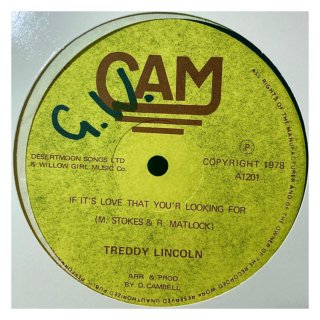 Treddy Lincoln -  If It's Love That You'r Looking For