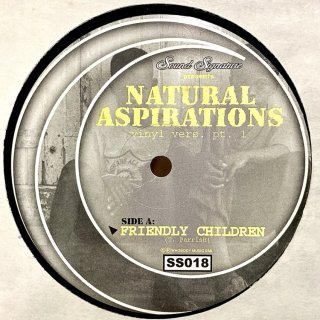 Theo Parrish - Natural Aspirations (Vinyl Vers. Pt. 1)