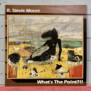 R. Stevie Moore - What's The Point?!!