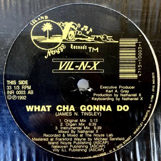 Vil-N-X - What Cha Gonna Do