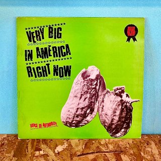 Voice Of Authority - Very Big In America Right Now