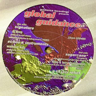 Various - Global Guidance