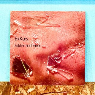 ExKurs - Fakten Sind Terror