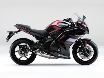ノジアカラー　ブラック400g 新品 トリックスター / Ninja 1000SX（20-24）政府認証スリップオン