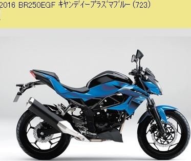 サ－ビスマニュアル カワサキ整備解説書2016 BR250 EGF(Z250SL