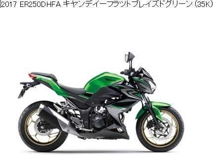 2017 取り扱い説明書 Z250 ABS ER250 DHF/DHF 999210302 1485