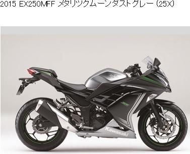 Ninja ニンジャ ZX-10RR ZX1000ZH 英語 カワサキ オーナーズ