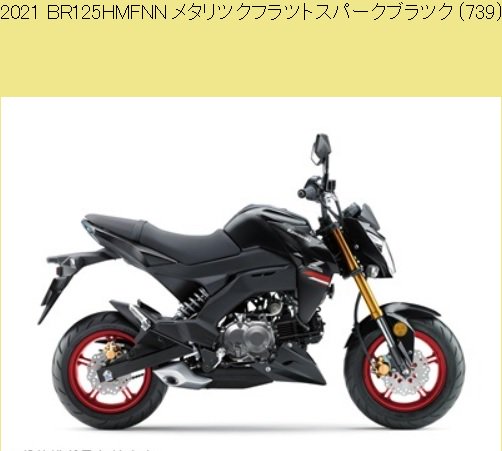 2021 取り扱い説明書 Z125 PRO BR125 HMFNN