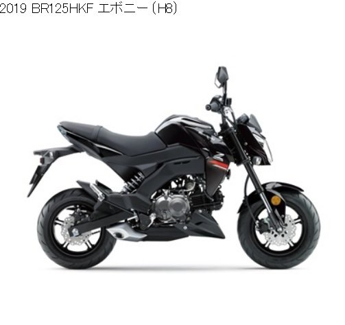 2019 取り扱い説明書 Z125 PRO BR125HKF/HKFA