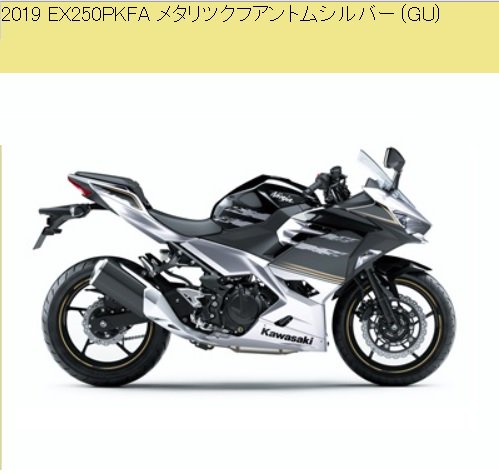 2019 取り扱い説明書 NINJA 250 EX250 PKF/PKFA