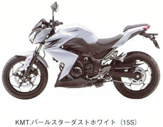 ER250CDF Z250 2013年38ﾌﾛﾝﾄﾏｽﾀ-ｼﾘﾝﾀﾞ-部品図・部品価格確認しながら