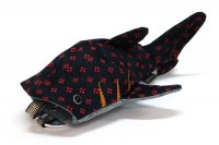 畳縁鮫（タタミベリザメ）Tatami edge Shark
