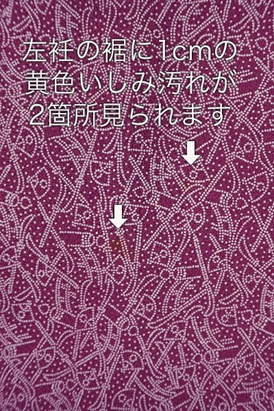 WEB限定【C-1479】（S・細め）人間国宝 小宮康孝作 江戸小紋 浅蘇芳色 節句模様 - 銀座きもの青木｜長く大切に着続けて頂きたい上質な着物や帯  |ONLINE SHOP